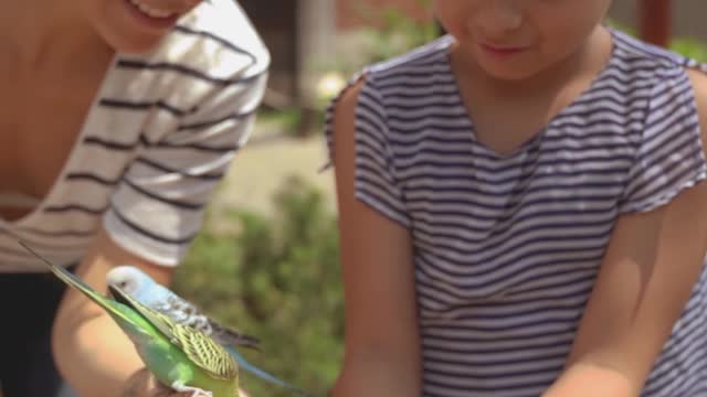 Parrots Loving The Kids