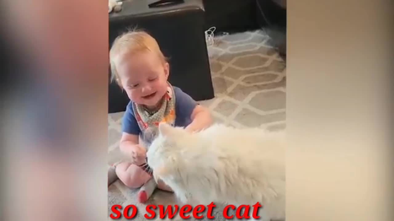 So sweet cat and beby funny video