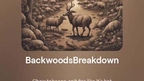 Backwoods Breakdown