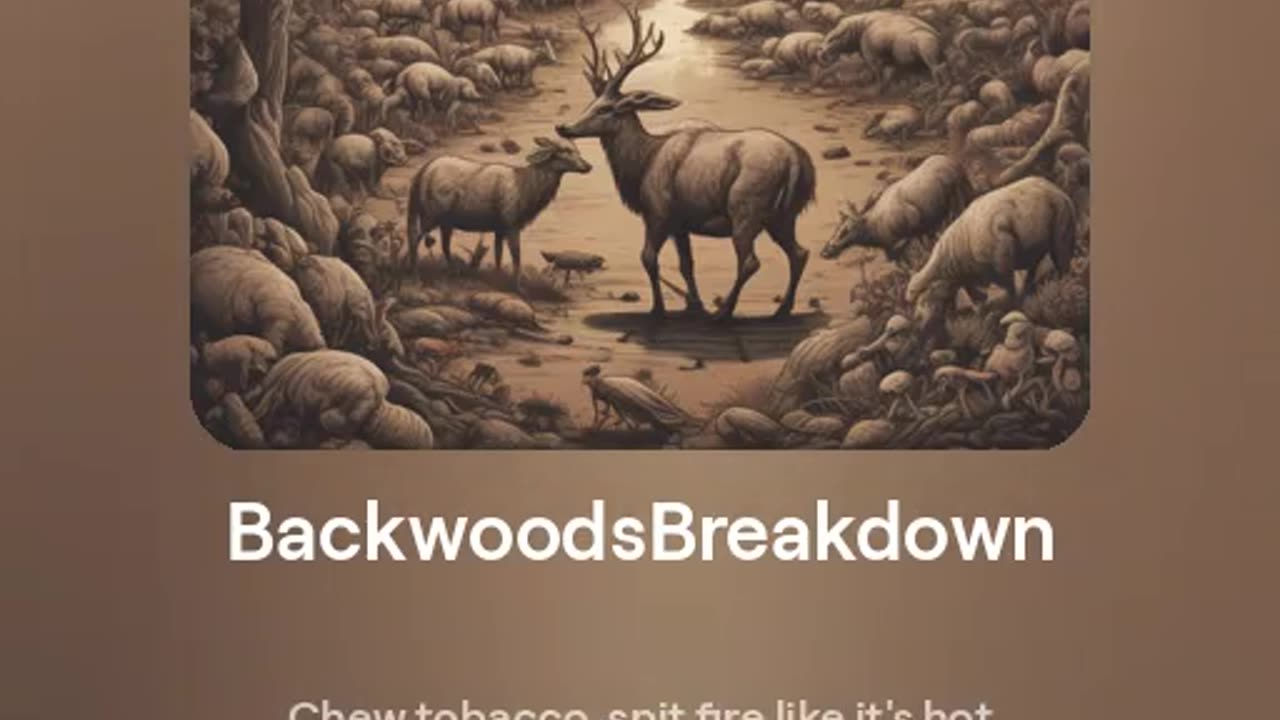 Backwoods Breakdown