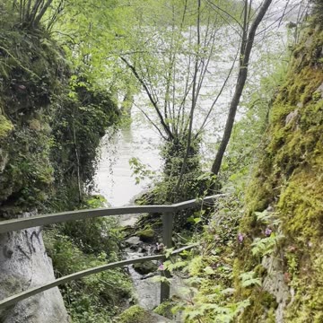 Freedom Cash Geocaching Paper Wallet -