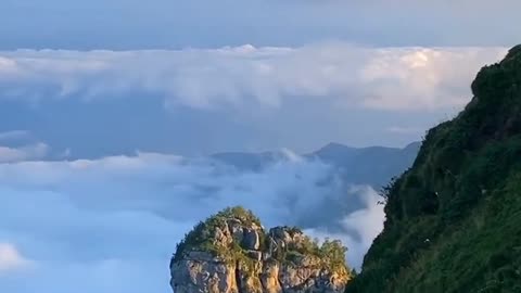Beautiful Nature