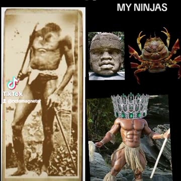 THE HYBRID HEADLESS VS THE ORIGINAL