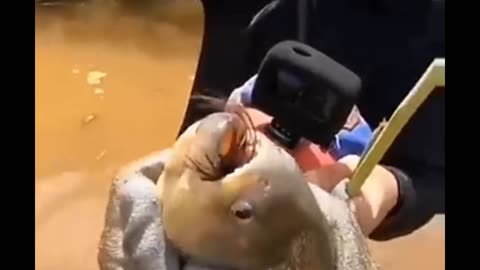 slut cutting hair 🫣🐟