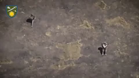 Ukrainian Drone vs. Two Russian Infantry