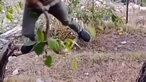 being a child doesn't get any better