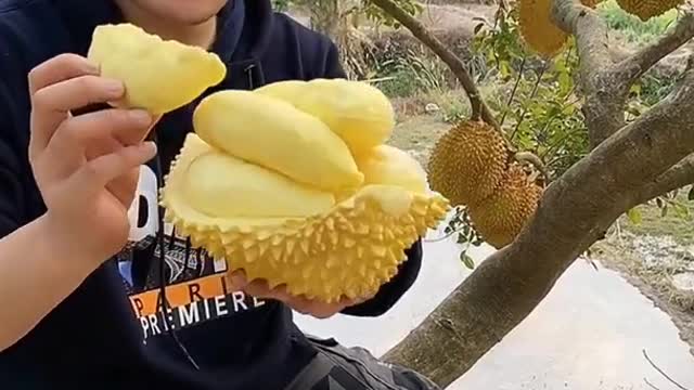 Farm Fresh Ninja Fruit Cutting Desi Satisfying Fruit Ninja Fruit Ideas | Amazing Fruits Video