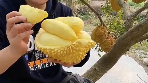 Farm Fresh Ninja Fruit Cutting Desi Satisfying Fruit Ninja Fruit Ideas | Amazing Fruits Video