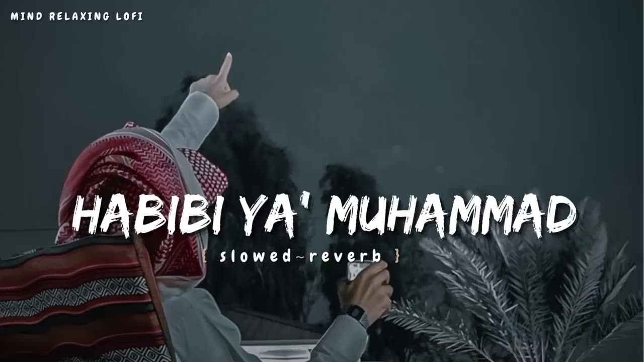 Habibi ya Muhammad