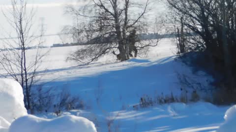 Cute dog play on ice with man