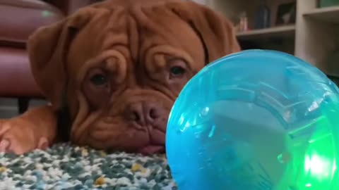 New ball