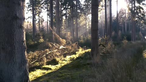 Nature route