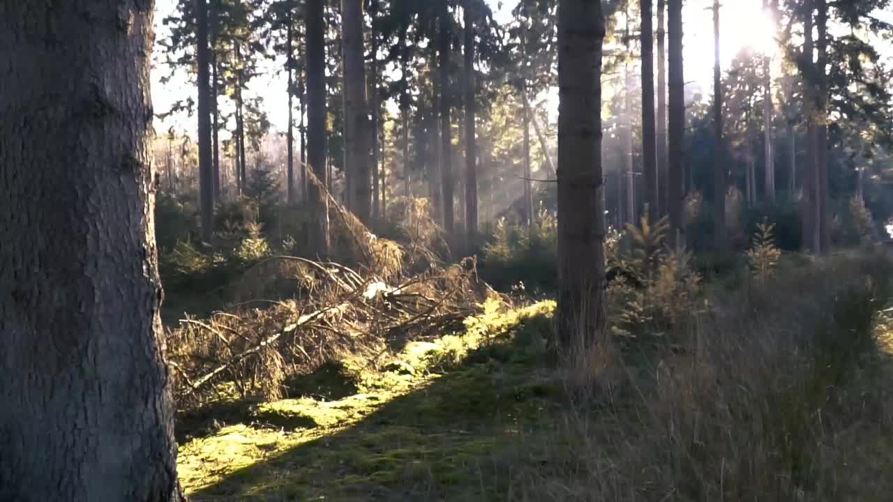 Nature route