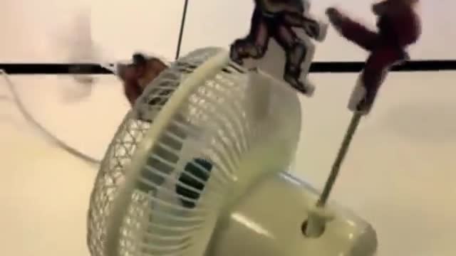 A GENIO OF CREATIVITY A MASTER OF THE LACK OF WHAT TO DO