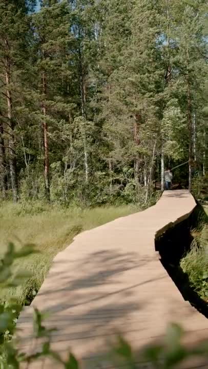 The Middle Way #shorts