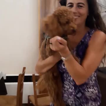 Dancing with the dog 🐶 Ballando col cagnolino