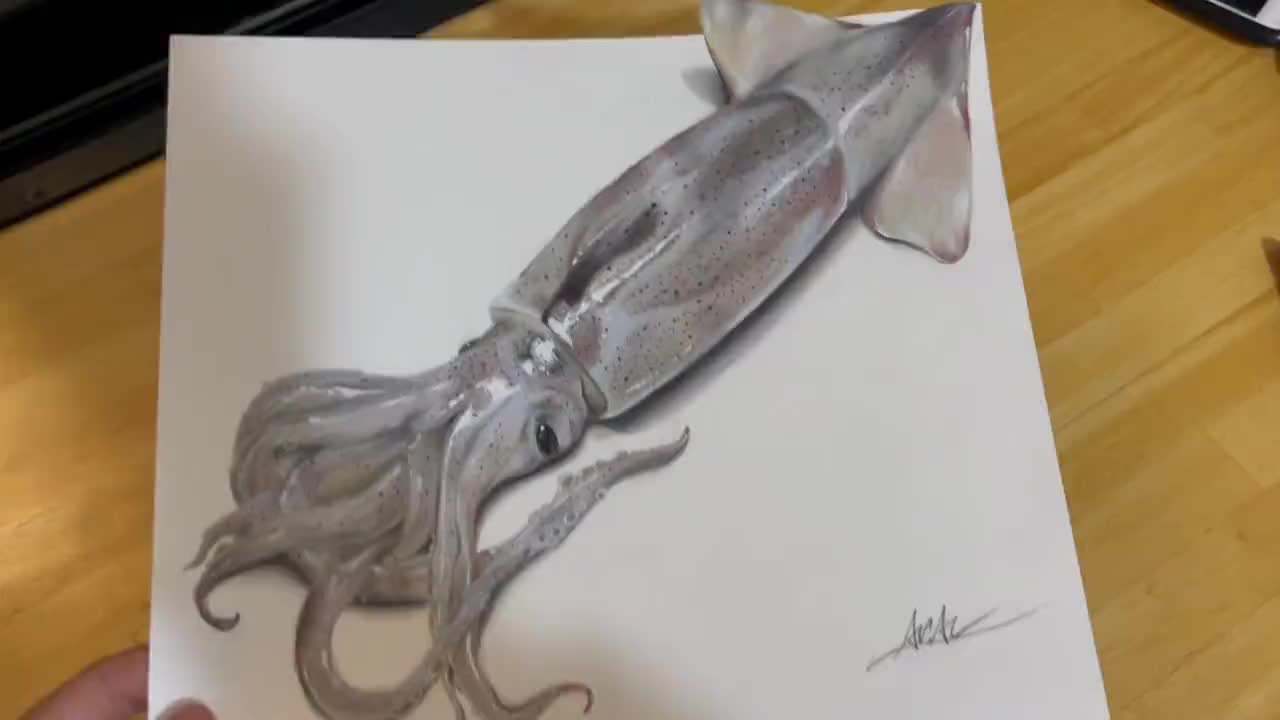 Super realistic drawing of a squid