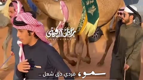 ارحب