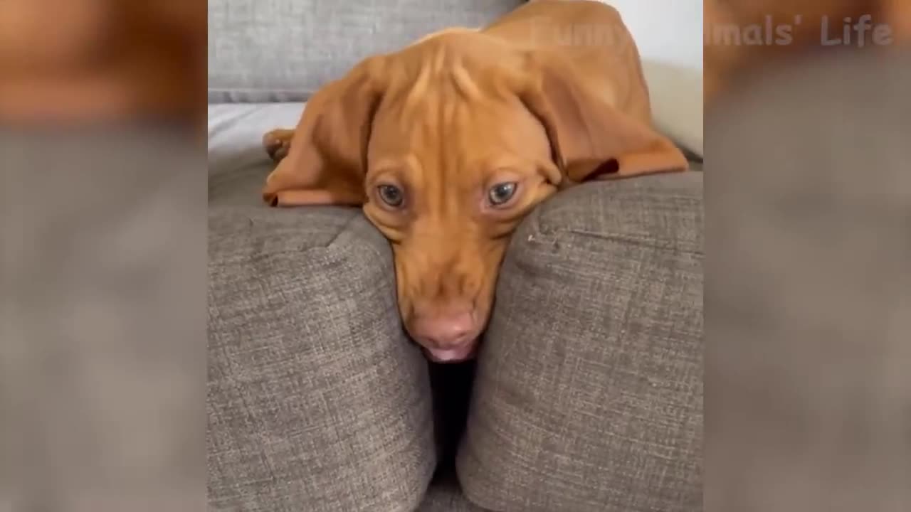 https://www.youtube.com/watch?v=wLSCg6AO1PE