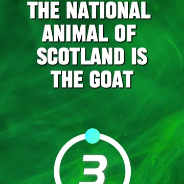 👍True or False 👎 #3