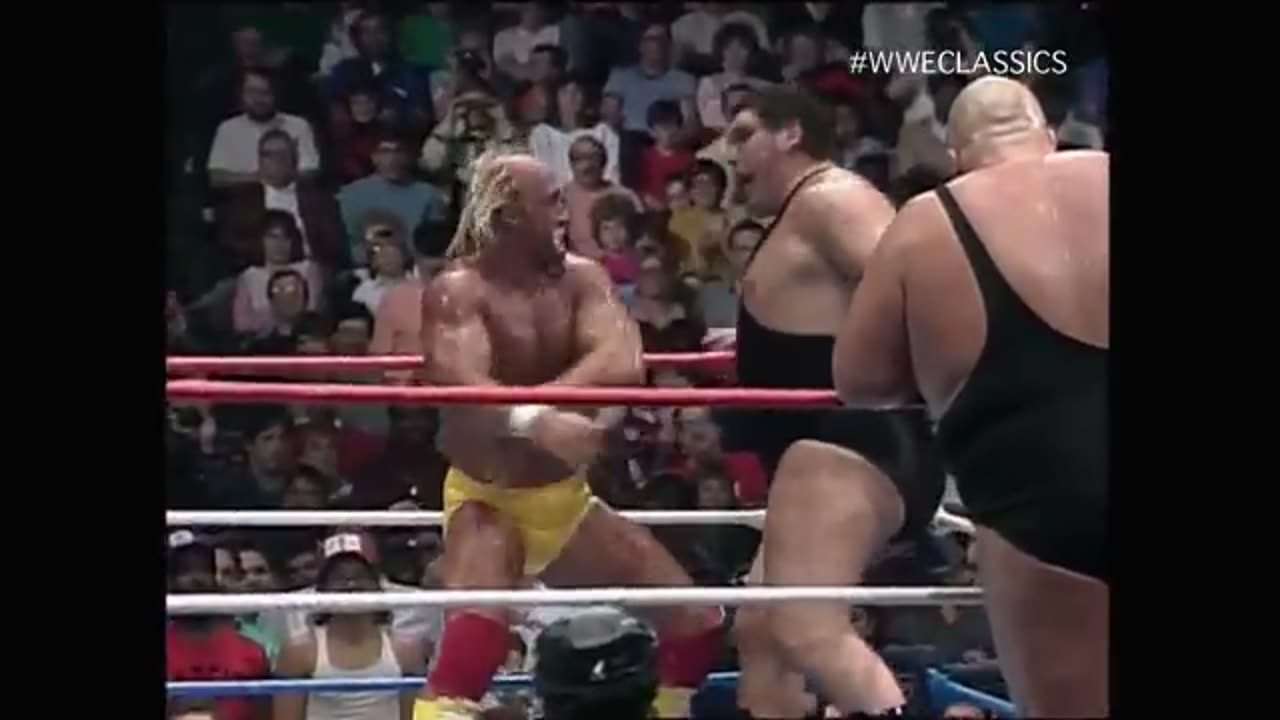 (1987.11.26) Team Hulk Hogan vs Team Andre the Giant - Survivor Series - WWF