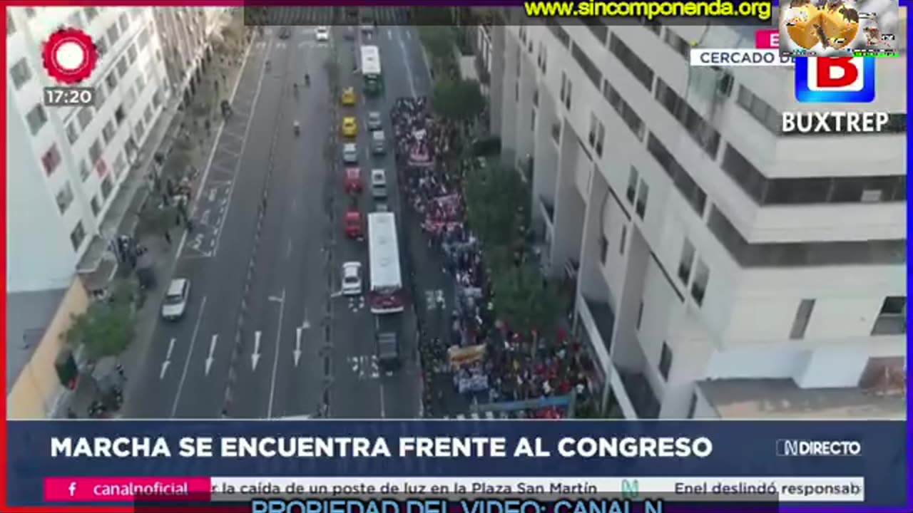 4 GATOS EN LA FRACASADA MARCHA DEL DÍA DE AYER DE LOS COMUNISTAS