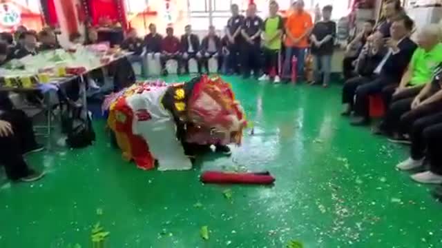 Lion Dance Perfromance