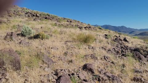 Dayton Nevada 89403 - Mountain Fort Churchill Rd and East of Chavez Rd - 20230714_181939
