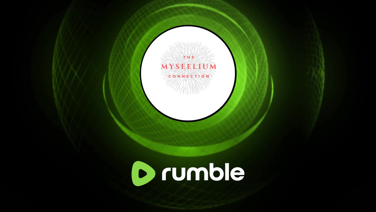 All things connected/mycelium