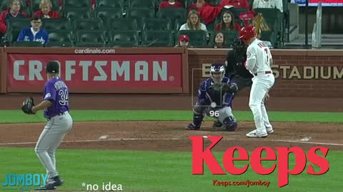 Umpire has near perfect game