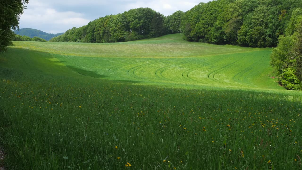 Nature