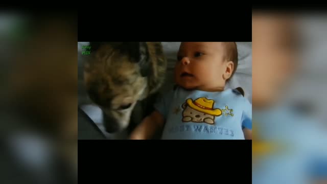 KITTENS AND DOGS PLAYING WITH BEAUTIFUL AND CUTE BABIES 💜🤩