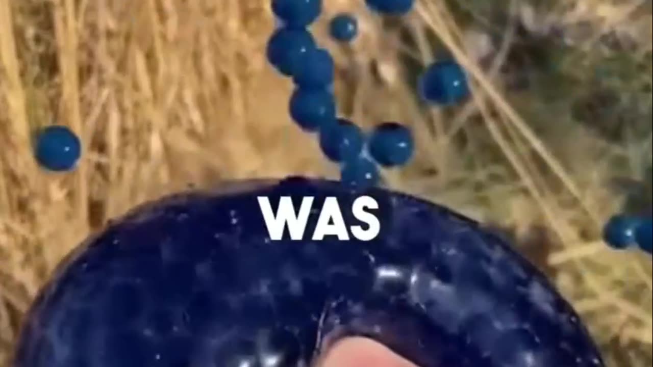 mind-blowing facts