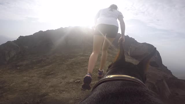 Reaching a mountain peak through the eyes of a Doberman