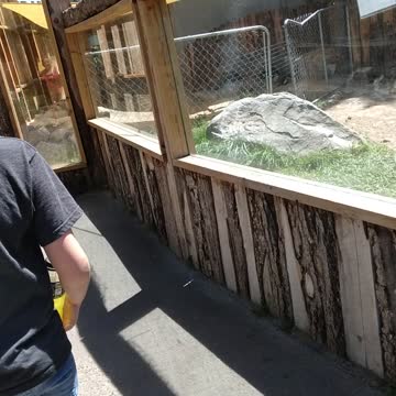 #Zoo #IDaho #Falls #2022