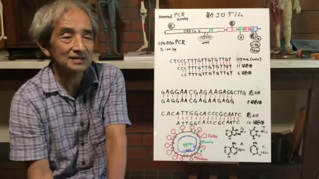 【117】騒動の原因は、PCRが人の遺伝子に反応するためという説 - 大橋眞