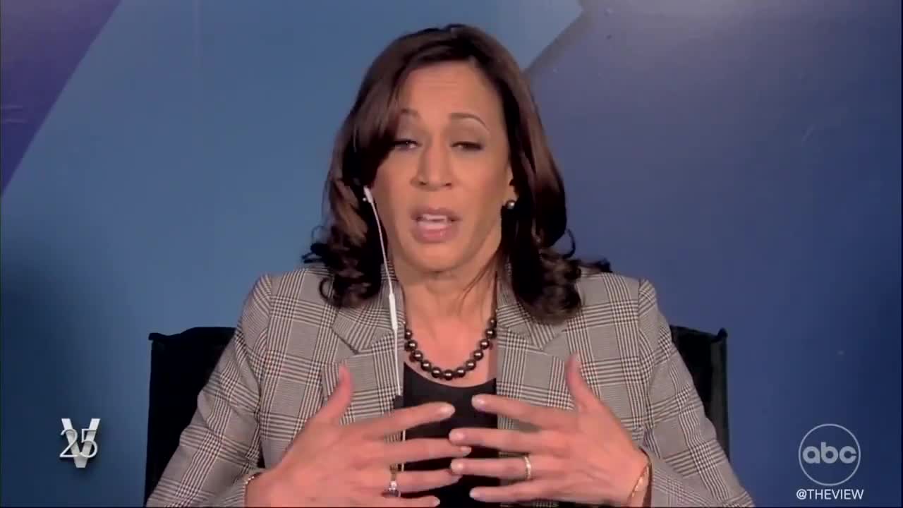 Kamala Harris smears Border Patrol agents, compares images to slavery