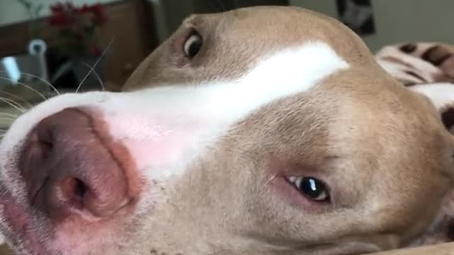 I’m lost in those eyes