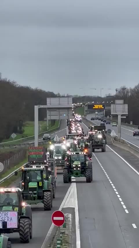 French Farmer Concoy