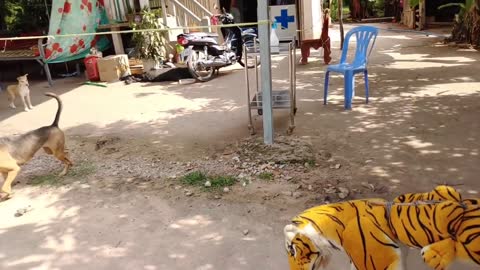 Wow Nice Prank! Fake Tigers Prank Dogs Run Funny Action 2021