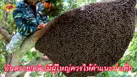 nice video