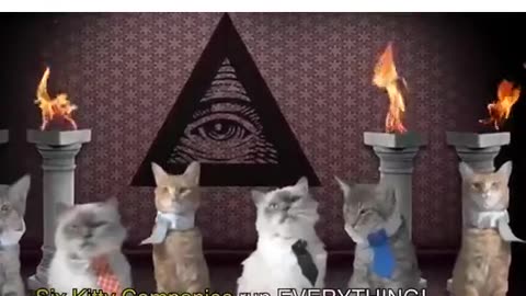 Forbidden History of the Kitty Republic - Trevor Moore