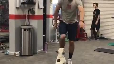 Dancing Doge 🔥🔥