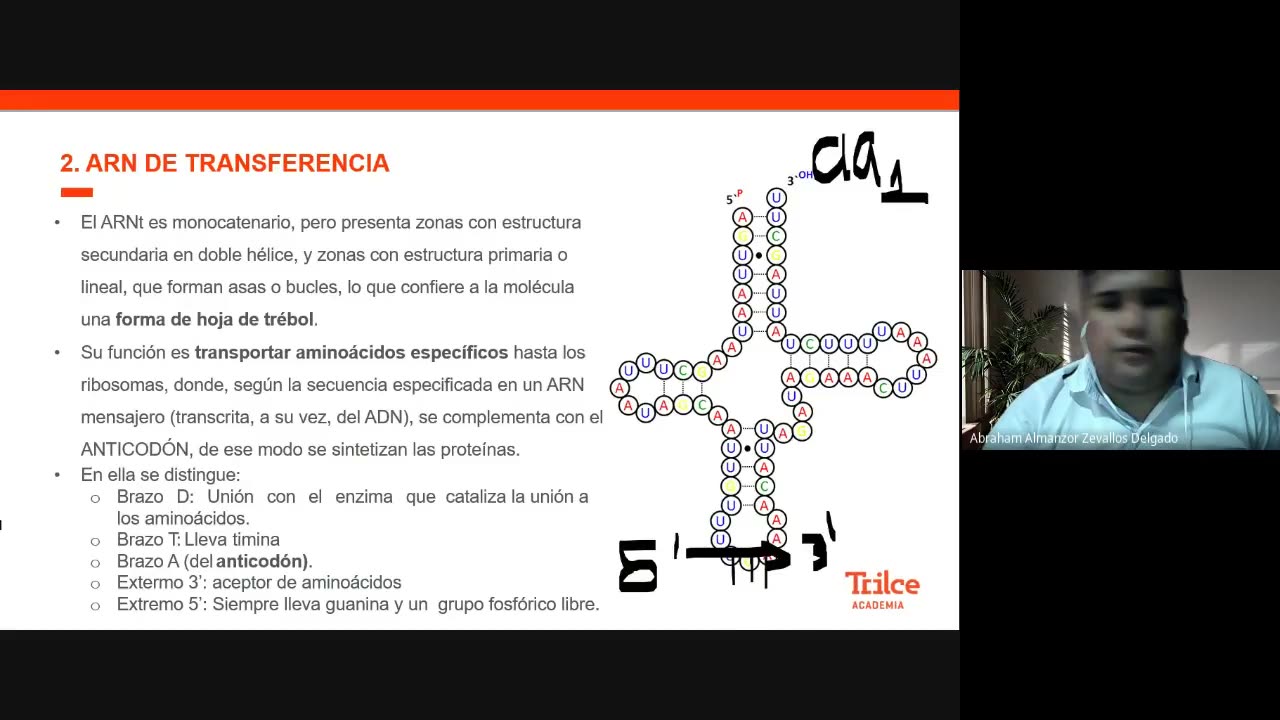 TRILCE ANUAL SM 2022 | SEMANA 03 | BIOLOGÍA