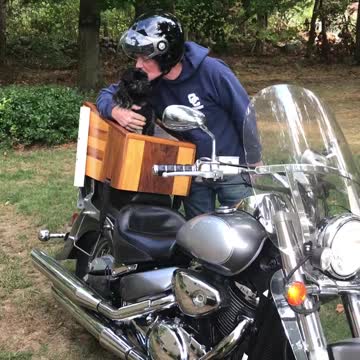 My Dog on motorcycle