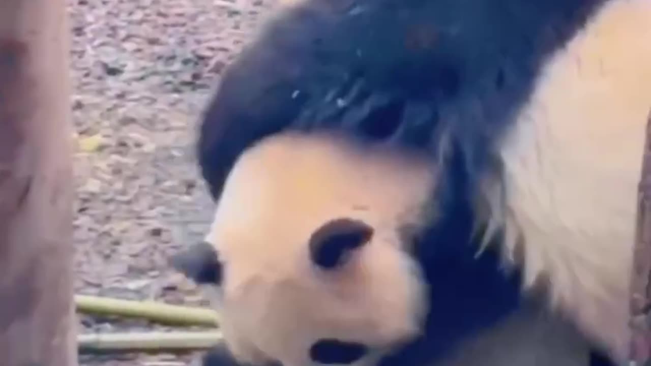 There is a cost to everything 🤣