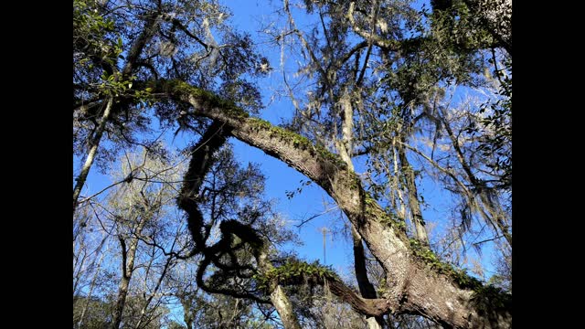 O'Leno State Park 2019