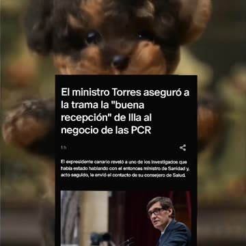 El ministro Torres aseguró a la trama la "buena recepción" de Illa al negocio de las PCR