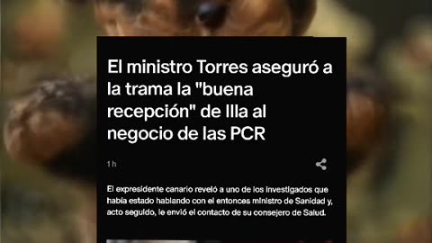 El ministro Torres aseguró a la trama la "buena recepción" de Illa al negocio de las PCR