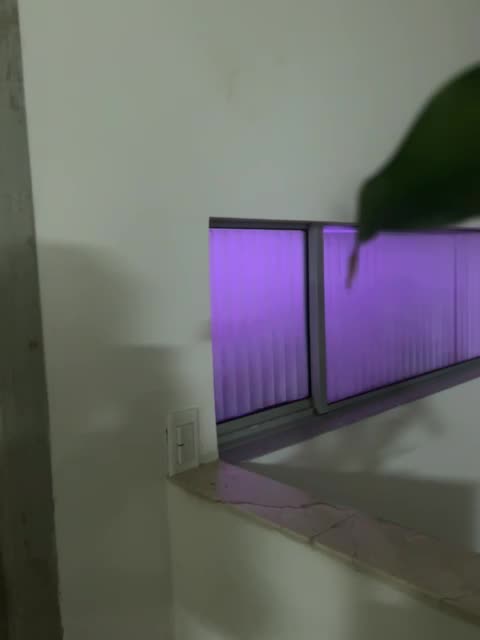 Fiesta del Chino Sandoval